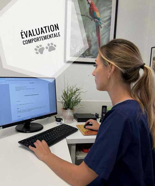 Consultation comportementale